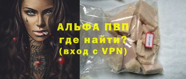 индика Балахна