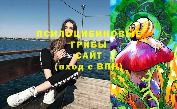 индика Балахна