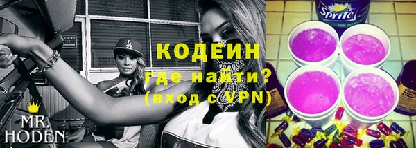индика Балахна