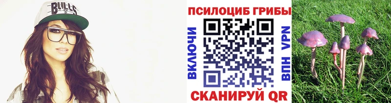 мега ссылка  Гусев  Псилоцибиновые грибы прущие грибы 