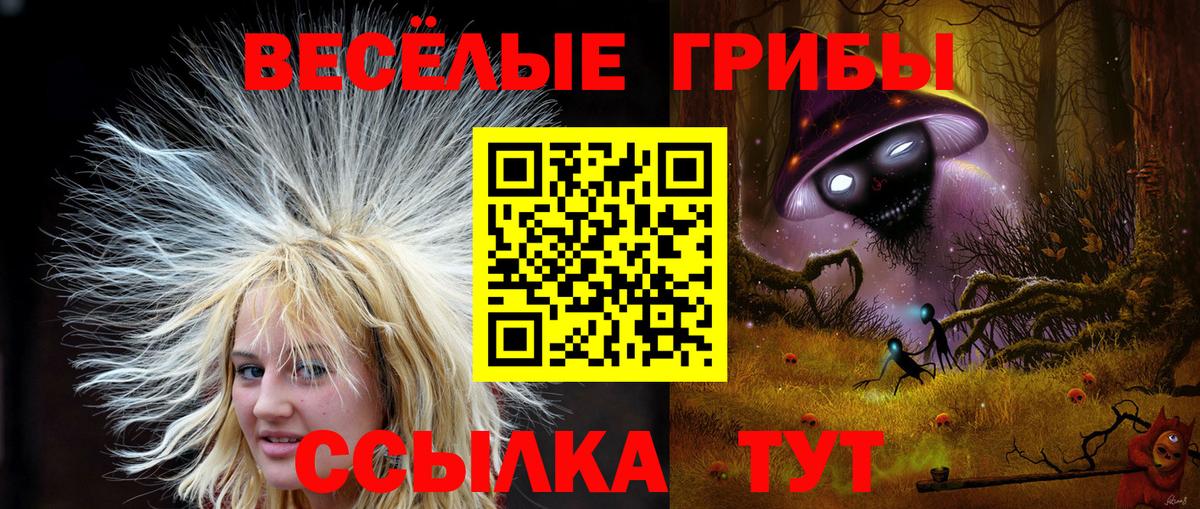 Галлюциногенные грибы GOLDEN TEACHER  Вход с VPN  Гусев 