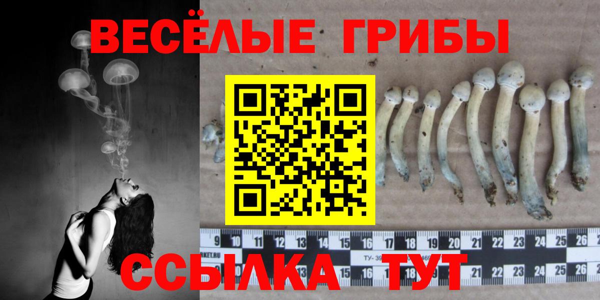 Псилоцибиновые грибы Cubensis Гусев