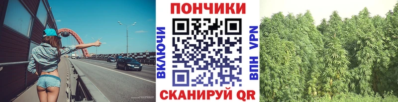 где можно купить наркотик  Гусев  Марихуана сатива 