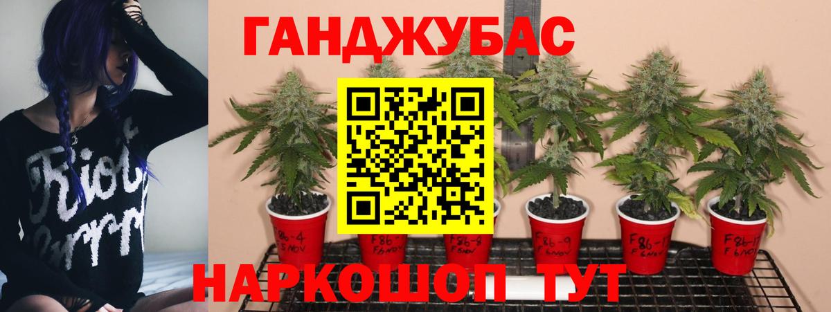 Бошки марихуана марихуана  Конопля индика  Конопля Amnesia  Каннабис Ganja  Гусев 